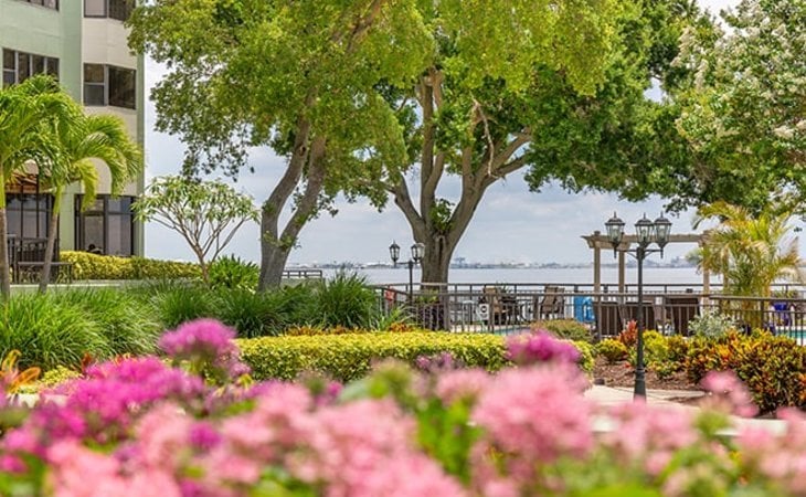 brookdale-bayshore-33611