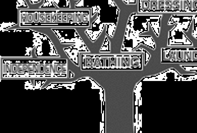 kin-care-llc-86314-1206582_2
