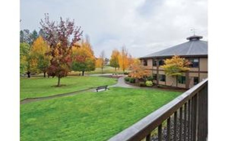 hillside-97128-1218293_17