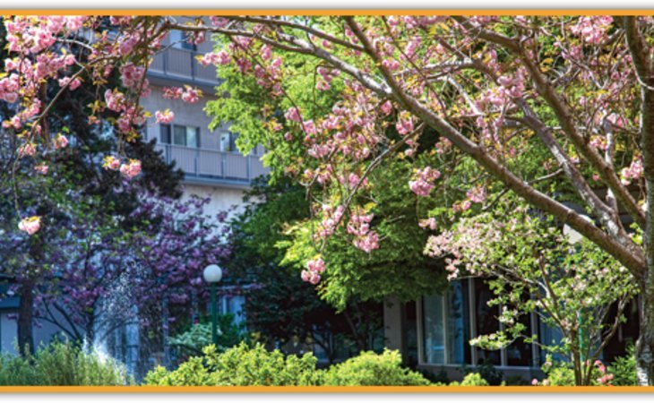piedmont-gardens-ccrc-94611-1219059_5