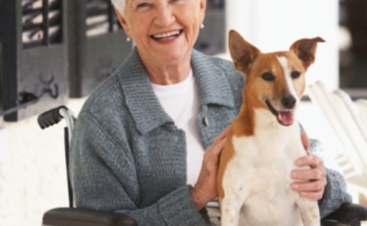 platinum-care-options-by-united-homecare-33122-1219159_8