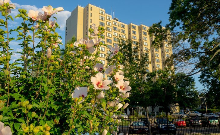 ingleside-retirement-apartments-19806-1220472_8