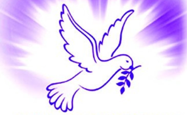rejuvenating-concepts-70126