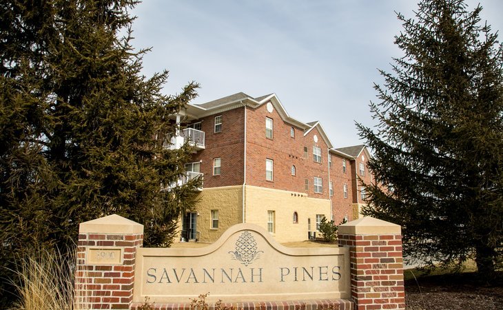 savannah-pines-68516