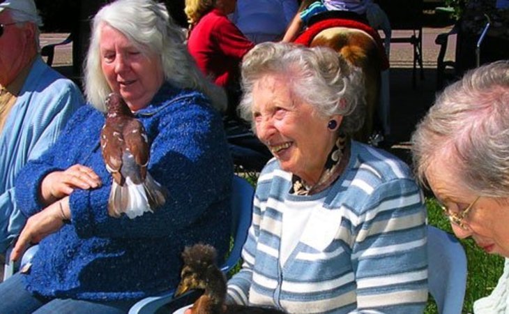 alzheimer-s-activity-center-95128