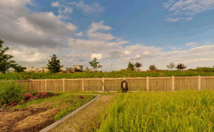 tallgrass-creek-66223-1223054_11