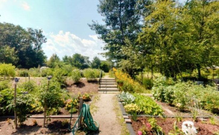 linden-ponds-02043-1223170_12