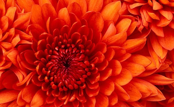 empowerment-living-services-54956