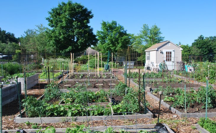 heath-village-07840-1225445_8