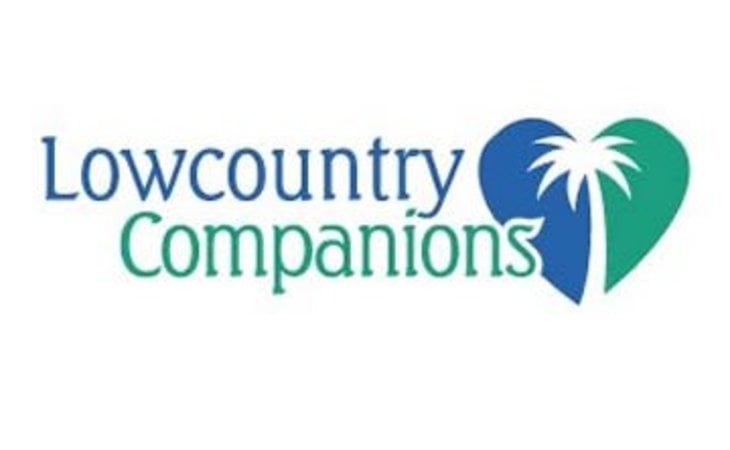 lowcountry-companions-in-home-care-29464