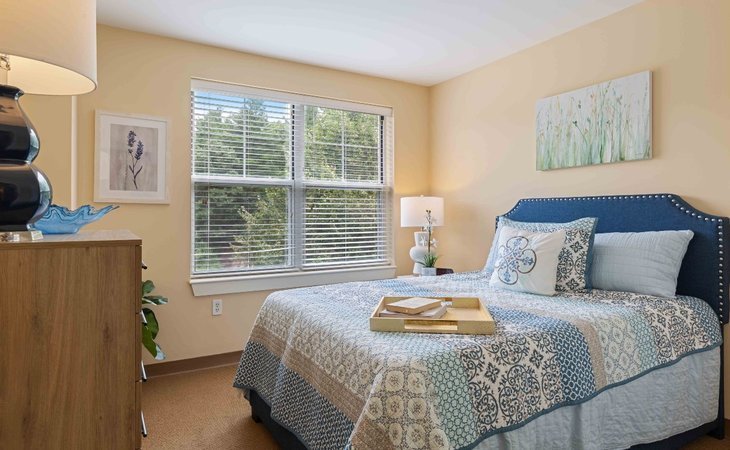 benchmark-senior-living-at-forge-hill-02038-1227043_9