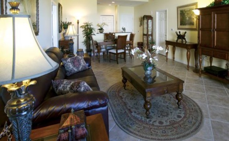 jacaranda-trace-34293-1227370_3