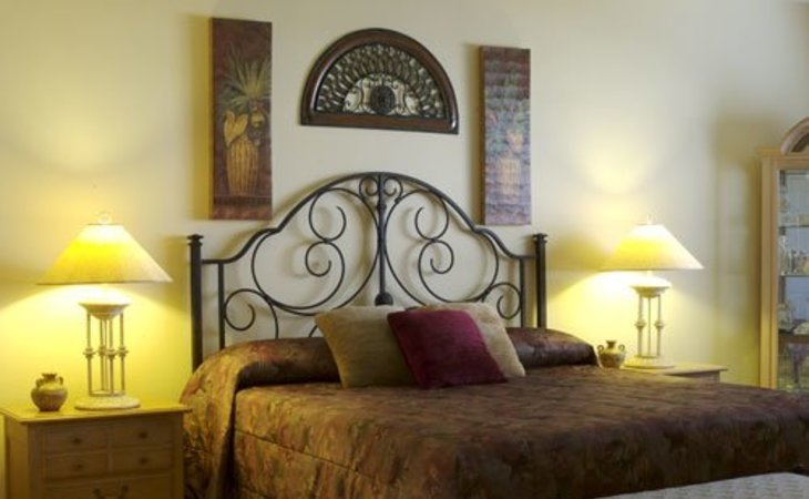 jacaranda-trace-34293-1227370_6