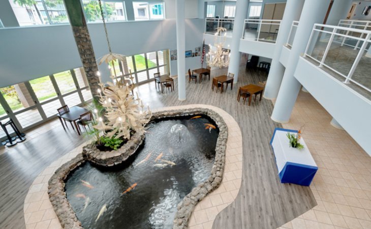 the-ivy-at-hawaii-kai-96825-1227920_6