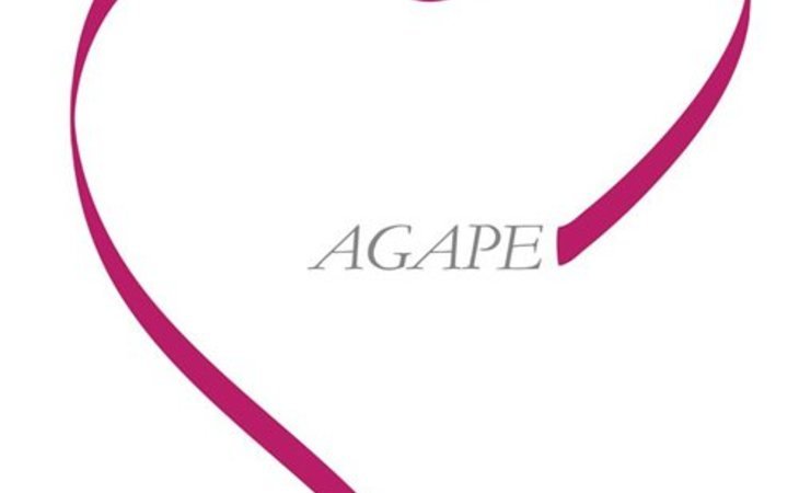 agape-love-home-care-94533