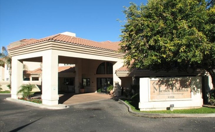 oasis-at-mesa-palms-85201