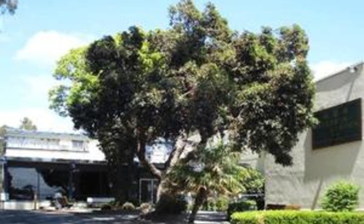 bellaken-garden-and-skilled-nursing-center-94601-1230_4