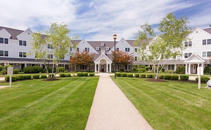 brookdale-spruce-wood-03824-1231831_2