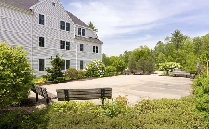 brookdale-spruce-wood-03824-1231831_8