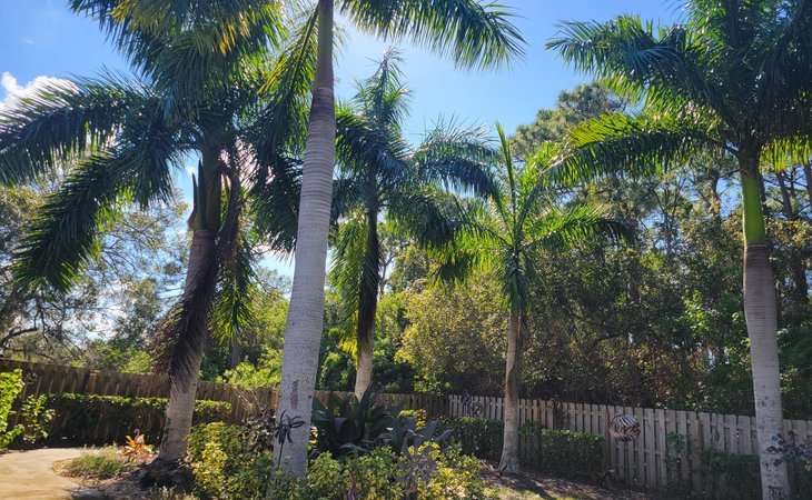 lake-forest-park-34981-1232094_11