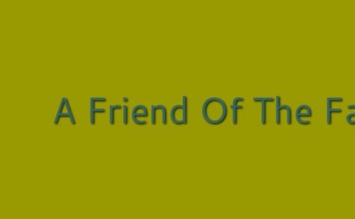 a-friend-of-the-family-llc-80538
