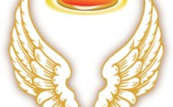 guardian-angel-caregivers-60440-1232746_1