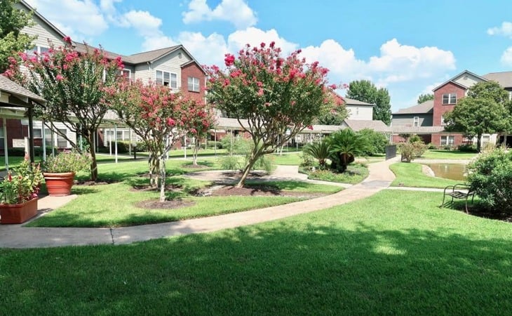 lone-star-living-77031