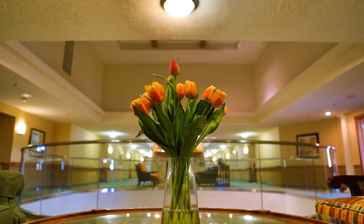 robinwood-38134-1233372_3