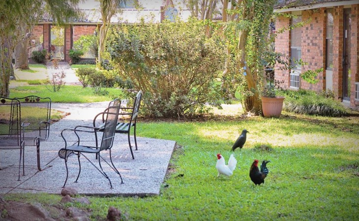 courtyard-retirement-assisted-living-70507-1233562_2