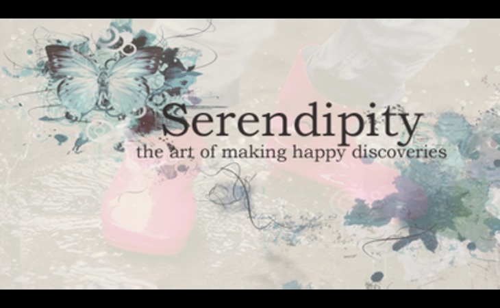 serendipity-senior-companion-care-inc-11764