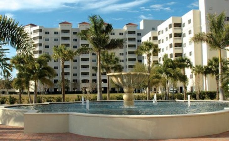 jacaranda-trace-34293