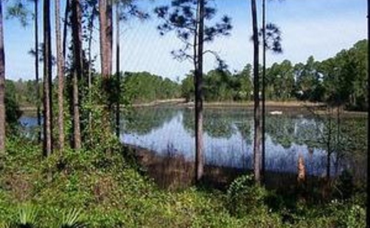 americare-assisted-living-water-s-edge-32738-1234478_8