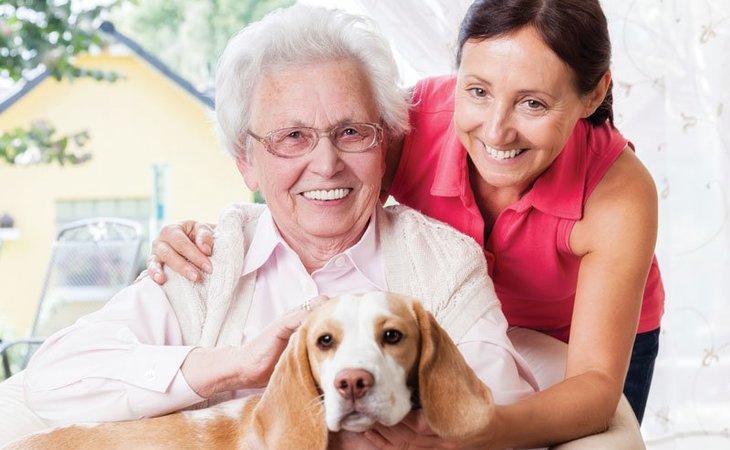 serene-home-care-33624-1234603_2