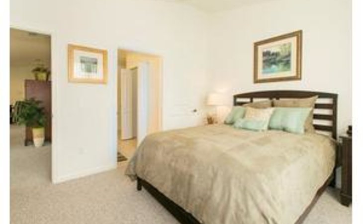 saxon-cove-32713-1234683_13
