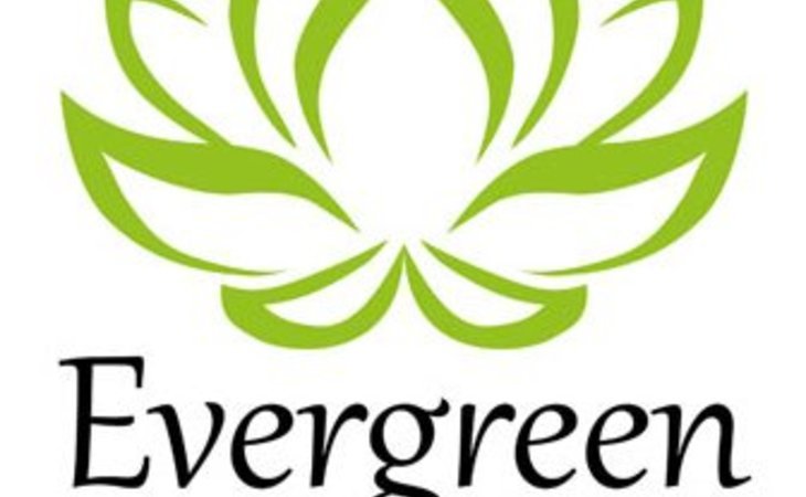evergreen-home-companion-64081