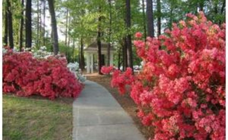 the-columbia-presbyterian-community-29073-1235836_10