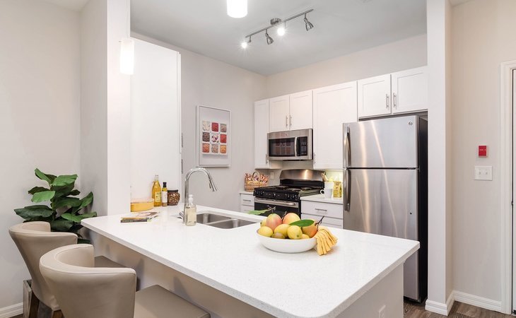 american-house-bonita-springs-34135-1236101_12