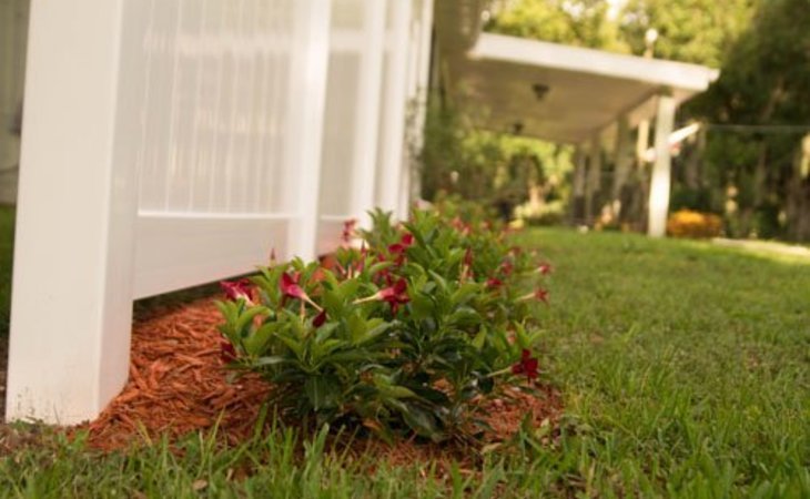azalea-oaks-place-assisted-living-closed-33566-1236279_8