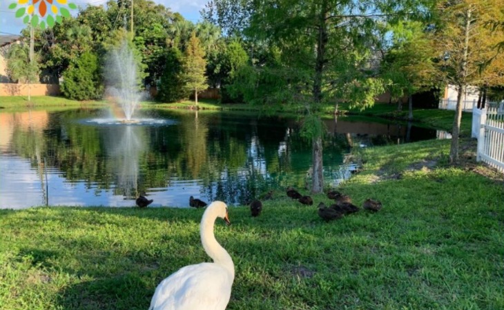 seasons-belleair-33756-1237244_10