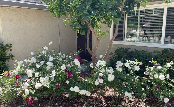 stanford-cottages-senior-living-citrus-gardens-92544-1237313_5