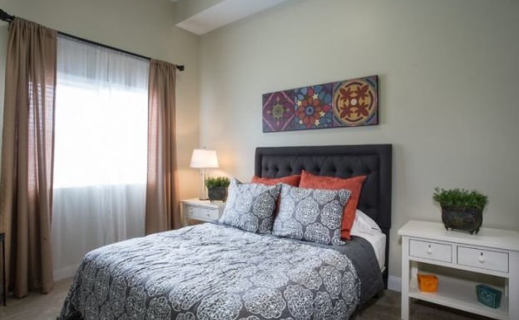 treeo-orem-84057-1237394_3