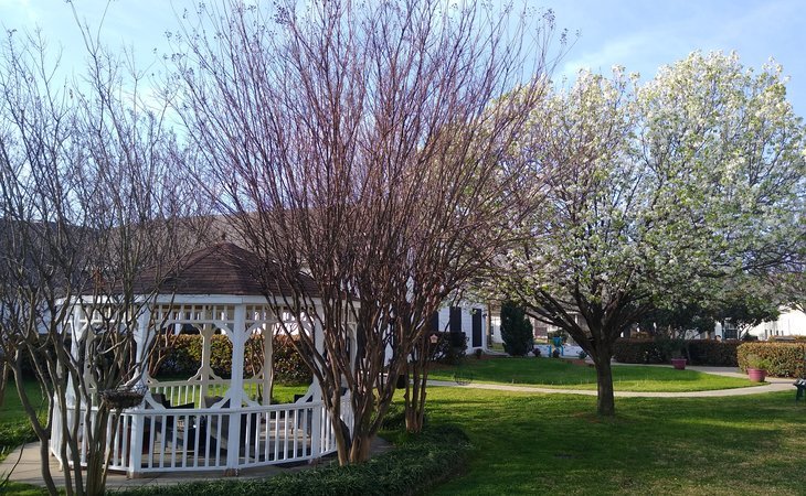 silver-creek-assisted-living-75043-1237434_4