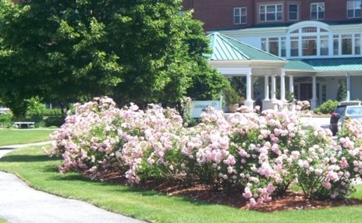 laurelmead-02906