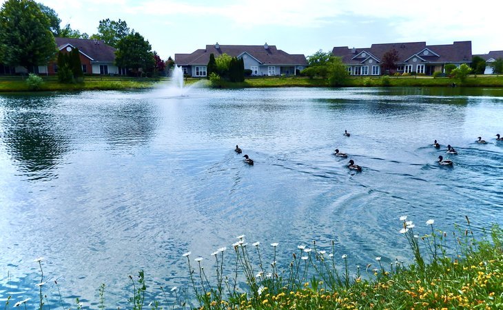 wesleyan-meadows-of-sheffield-village-44035-1238016_9