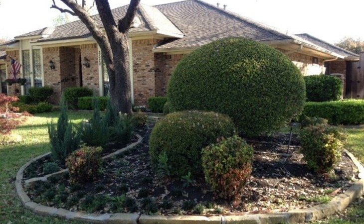 mission-ridge-residential-care-75023-1238120_5