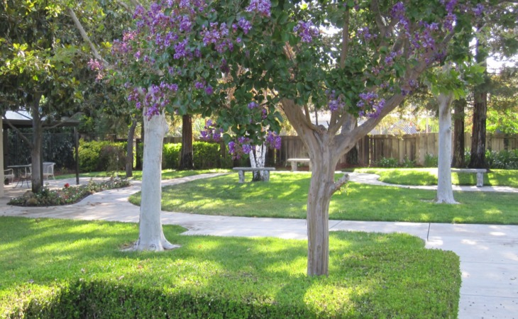 livermore-valley-senior-living-closed-94550-1239767_3