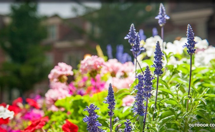 courtyard-at-jamestown-assisted-living-84604-1240255_10