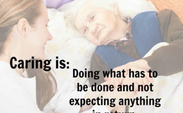 purple-hearts-homecare-06095-1240411_5
