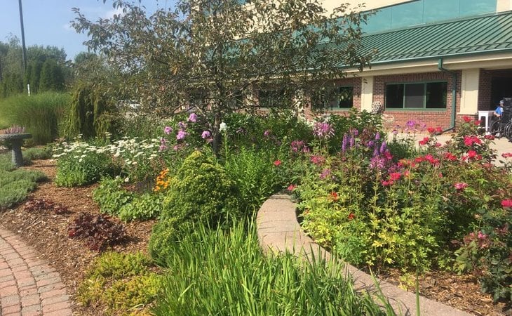 the-cottage-of-davison-48423
