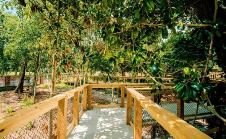beehive-homes-of-gulf-breeze-32563